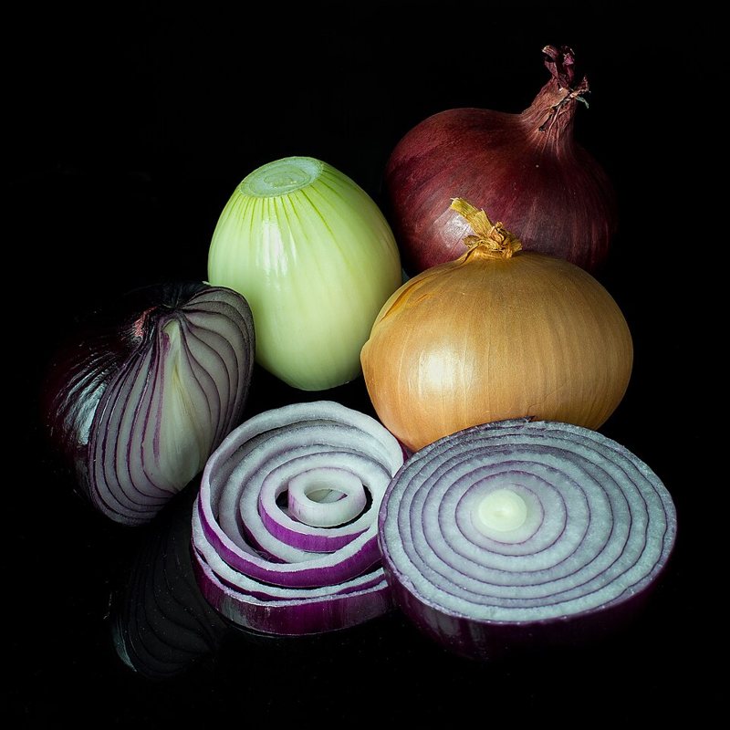 Onion — Allium cepa